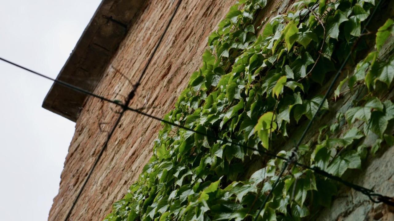 Fubine La Casa Di Giulia: Una Pausa In Collina المظهر الخارجي الصورة